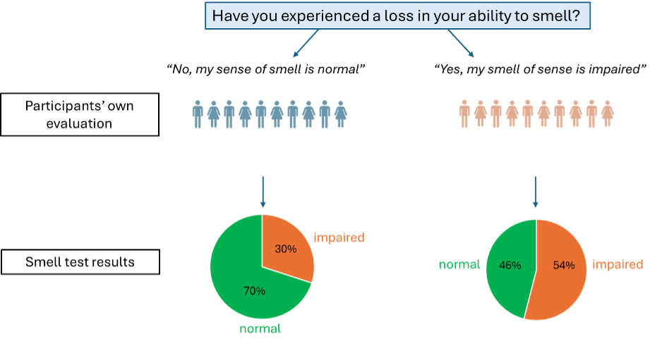 The age distribution of participants
