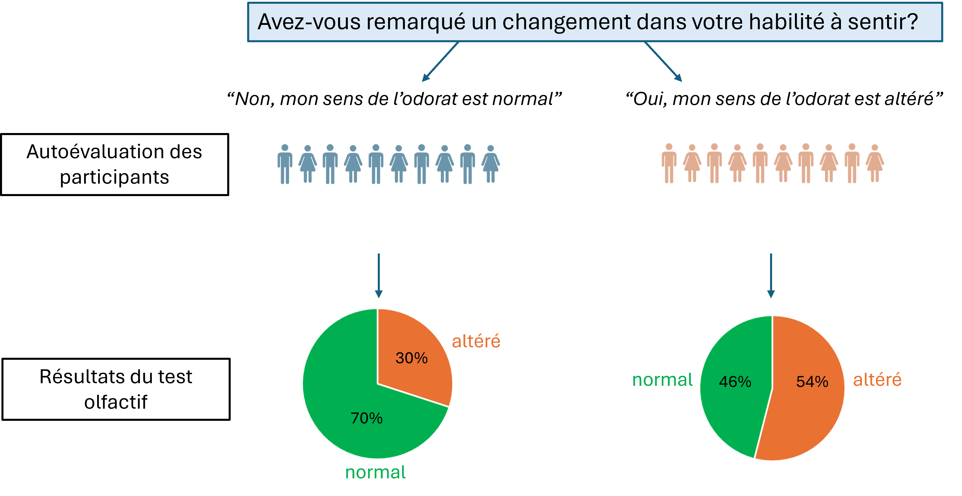 The age distribution of participants
